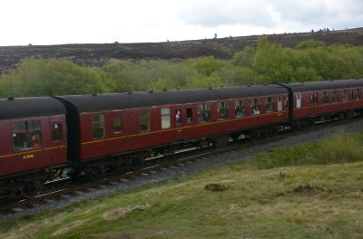 North Yorkshire Moors Railway - Fen Bog photo