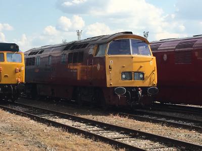 D1015 at Old Oak Common HST Depot. &copy; Pape_Timmo