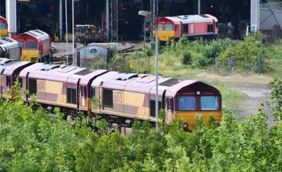 66075,66040,66014 at Toton TMD. &copy; MJM