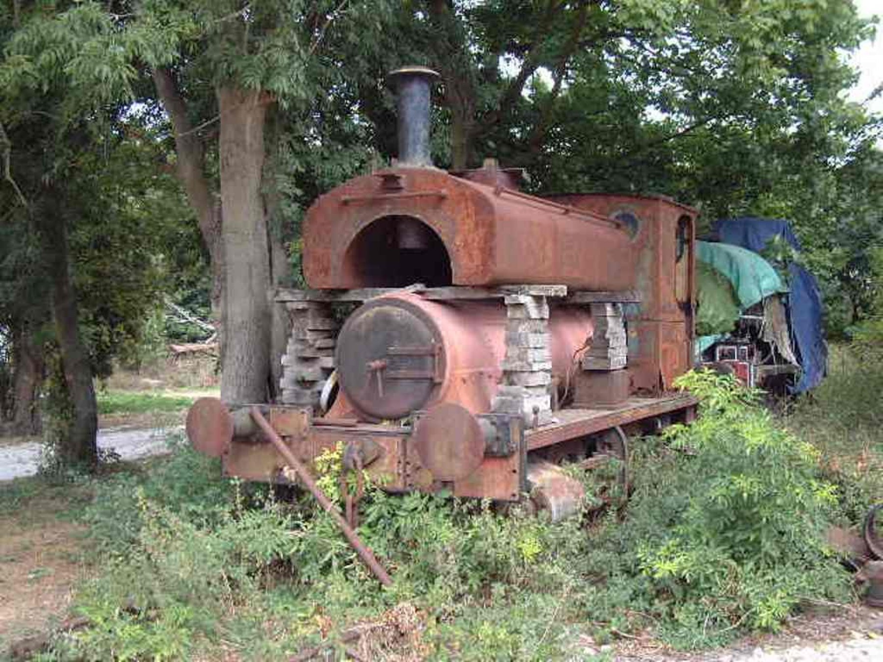 Photo of AB1219 STEAM at New Building Farm — trainlogger