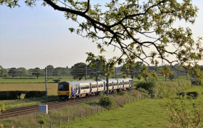 323230 at Snelson. &copy; stevexos