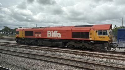 Small Heath Caledonia Yard photo
