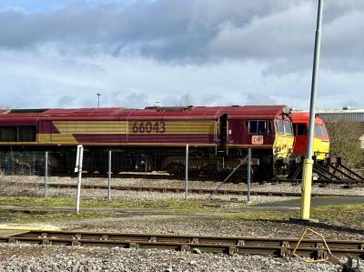 photo of 66043 at Toton TMD