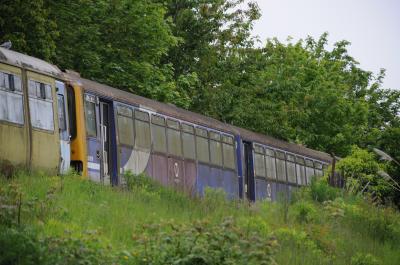 Everyone's Photographs of 144019 — trainlogger