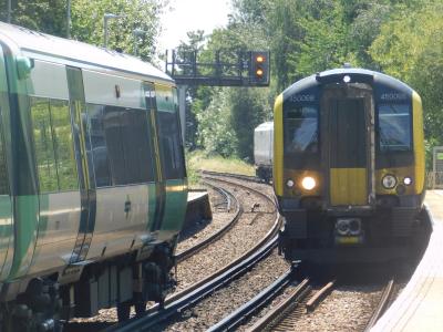 Hilsea photo