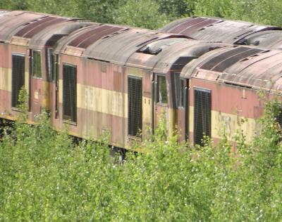 60053 at Toton TMD. &copy; MJM