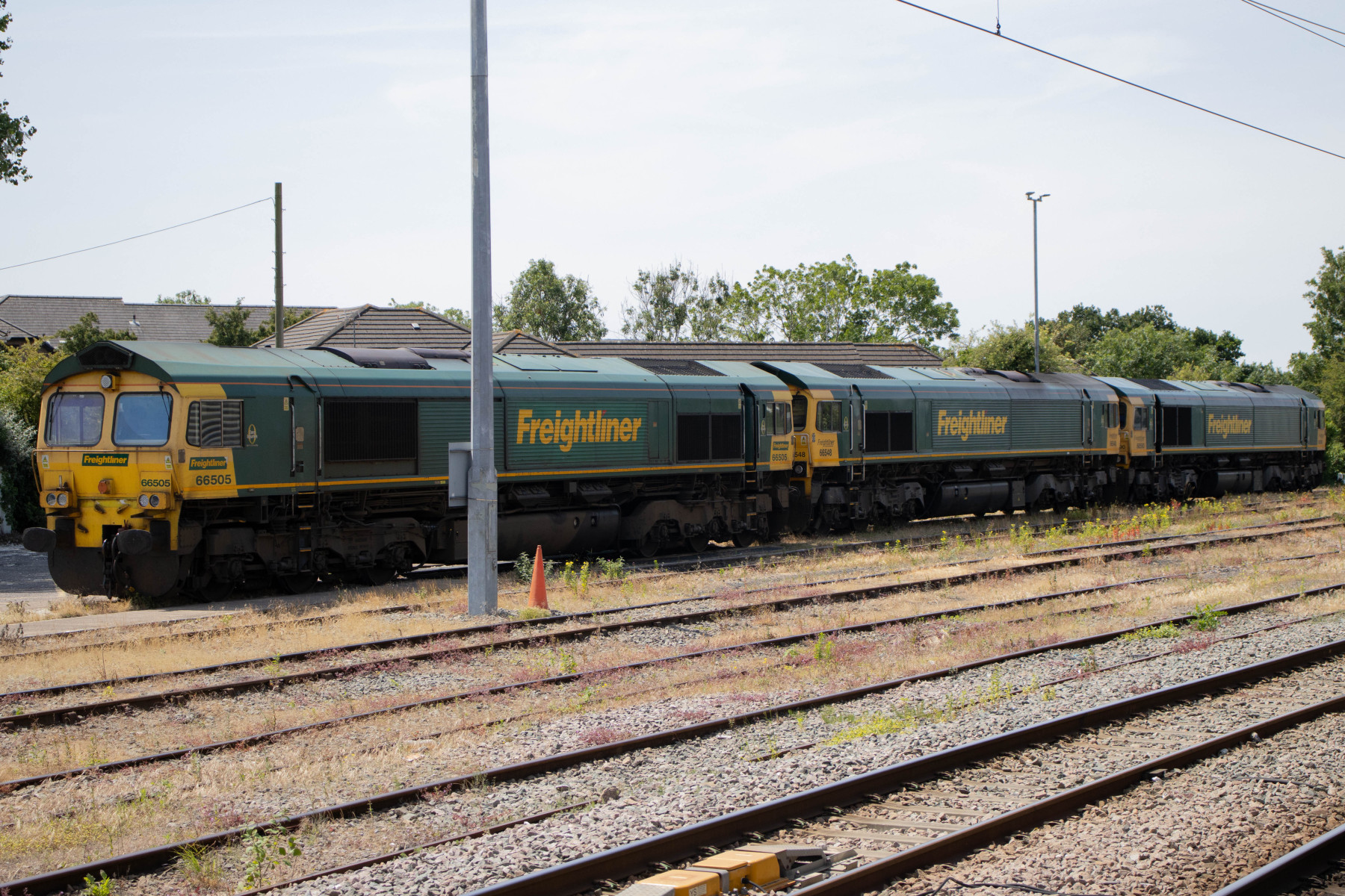 Photo of 66505, 66548 and 66590 at Stoke Gifford Freightliner yard ...