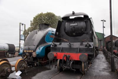 34007 steam,4464 steam at Mid Hants Railway - Ropley. &copy; trainlogger