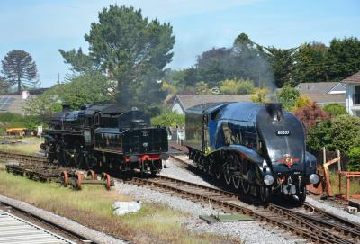 60007 steam at Dartmouth Steam Railway - Churston. &copy; AJax