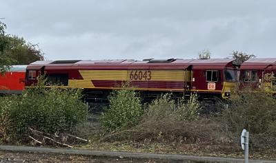 66043 at Toton TMD. &copy; BigKev