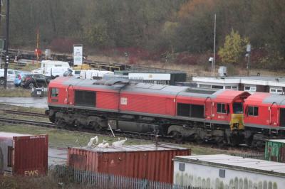 Tees Yard photo