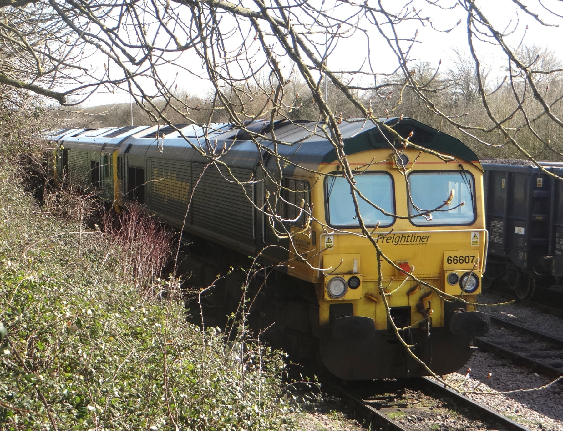 Photo of 66607, 59101 and 59206 at Westbury Cement Works — trainlogger