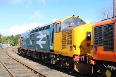 37402 at Barrow Hill Roundhouse. &copy; ConnorsRailPhotography