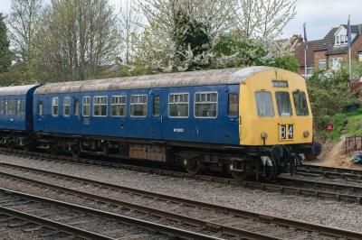 50203 at Great Central Railway. &copy; llamafish