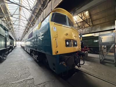 D1023 at Didcot Railway Centre. &copy; Cookey84