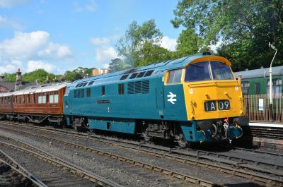 D1015 at Severn Valley Railway - Bridgnorth. &copy; AJax