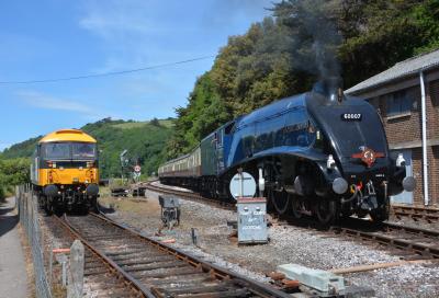 Dartmouth Steam Railway - Kingswear photo