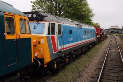 50017 at Great Central Railway. &copy; al66class59