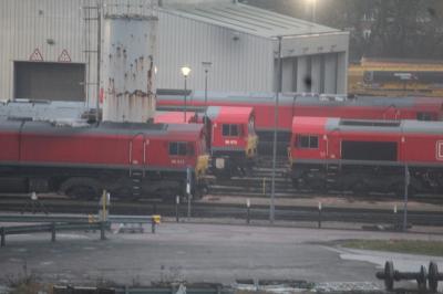 Toton TMD photo