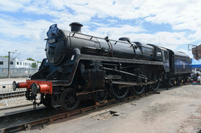 73129 steam at Derby - The Greatest Gathering 2025. &copy; llamafish