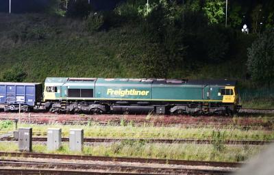 Tees Yard photo