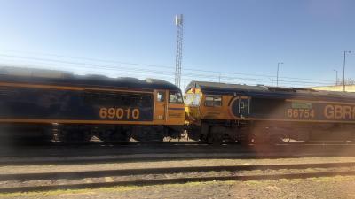 Doncaster Down Decoy photo