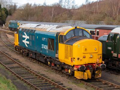 37409 at Barrow Hill Roundhouse. &copy; TinsleyTMD