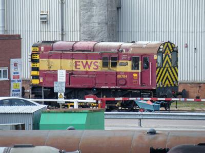 Toton photo