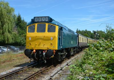 South Devon Railway - Staverton photo
