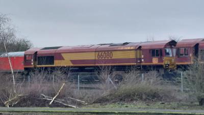 Toton TMD photo