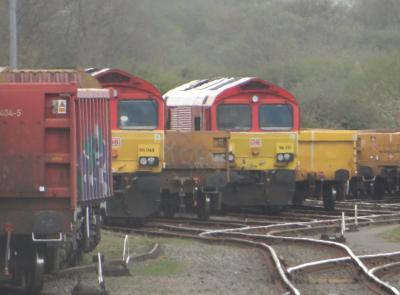 photo of 66131 at Westbury Yard