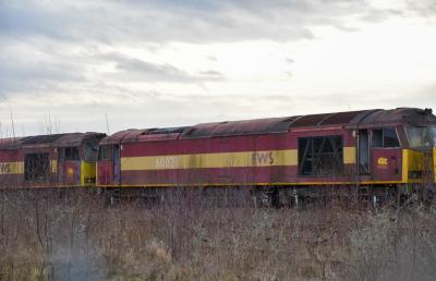 60023 at Toton New Bank Sidings. &copy; Brodie