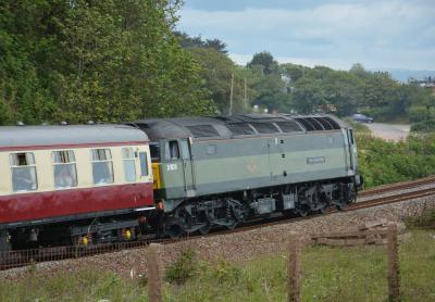 Dawlish Warren photo