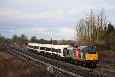 31st January image