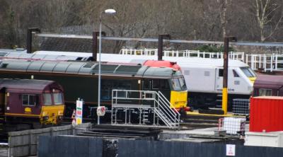 Toton TMD photo
