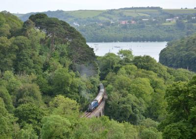 Dartmouth Steam Railway - Maypool Viaduct photo