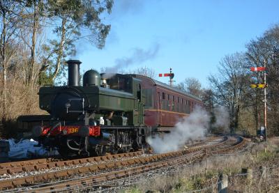 1369 steam at South Devon Railway - Bishops Bridge Loop. &copy; AJax