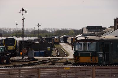 769944,73133 at Eastleigh Works. &copy; al66class59