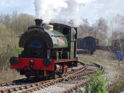 photo of P2147 steam at Dean Forest Railway - Lydney Junction