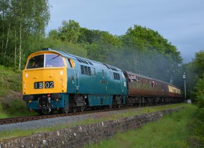 Severn Valley Railway - Northwood Ln - Tenbury Wall photo