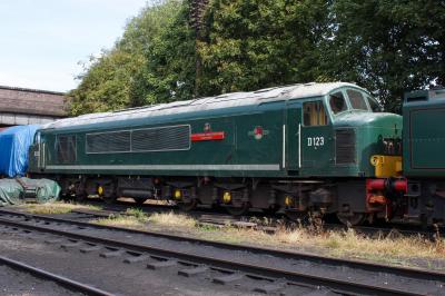 D123 at Great Central Railway. &copy; South Coast Trainspotter