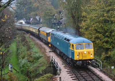 56045,33002 at South Devon Railway - Buckfastleigh. &copy; AJax