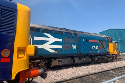 37401 at Crewe Gresty Bridge DRS Depot open day. &copy; trainlogger