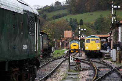 25191,6975,D5343 at South Devon Railway - Buckfastleigh. &copy; trainlogger