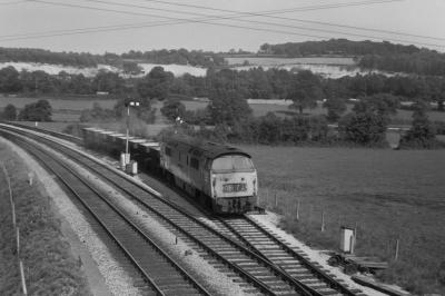 Western Campaigner avatar