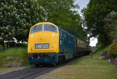 Severn Valley Railway - Crossing Cottage photo