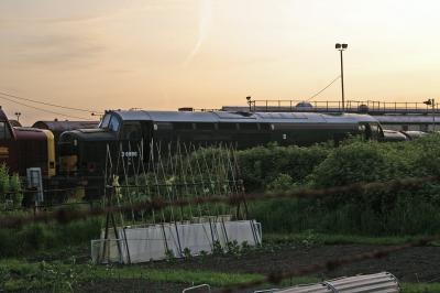 37411 at Eastleigh TMD. &copy; Kempydak
