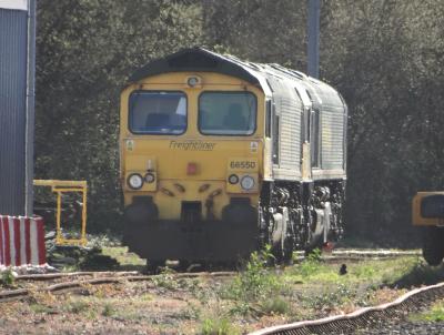 photo of 66550,66953 at Westbury Yard