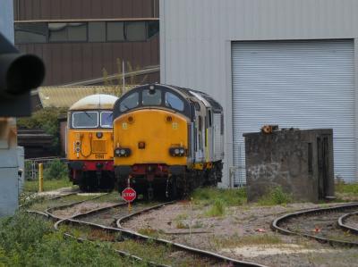 Leicester TMD photo