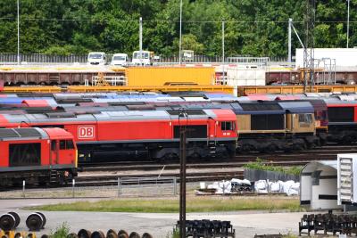 66135 at Toton TMD. &copy; MJM